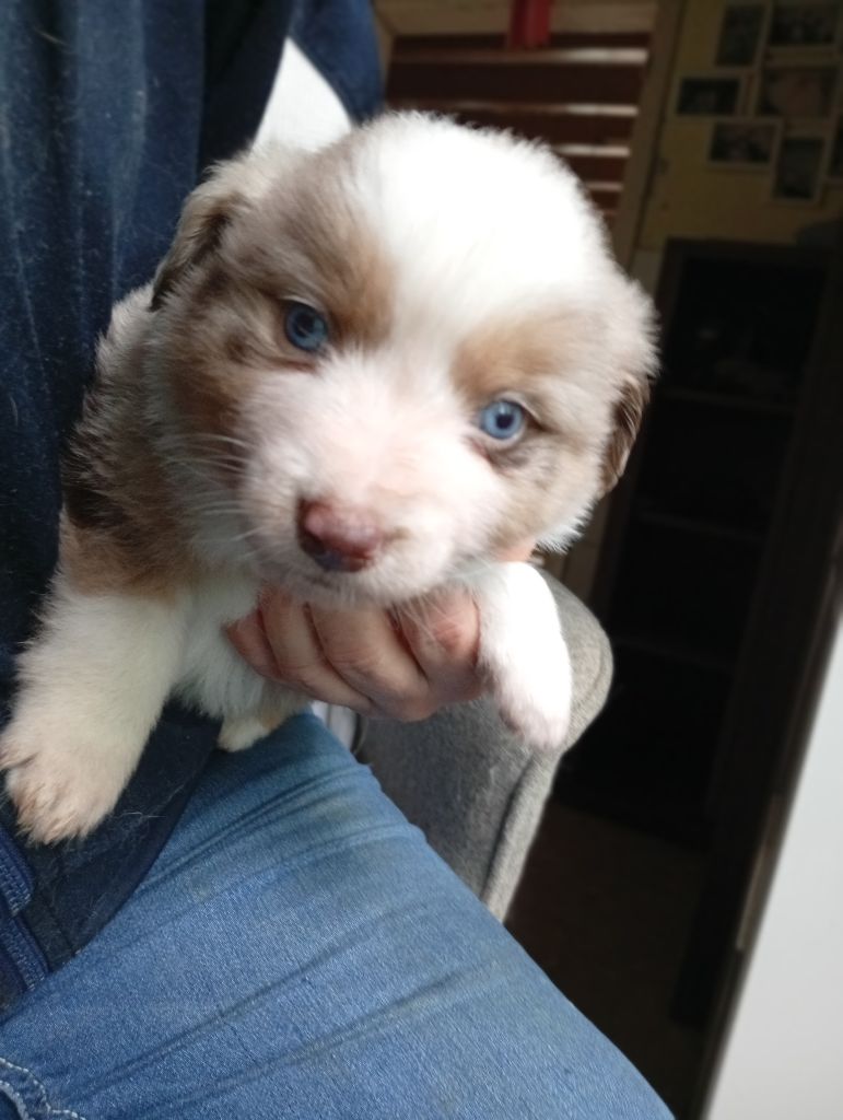 ATHOS